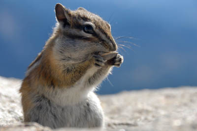 The Rocky Mountains in the Colorado state, United States. Photographs by Amar Guillen.